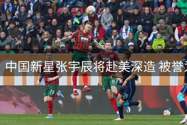 中国新星张宇辰将赴美深造 被誉为下一个库里